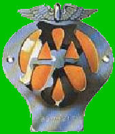AA Badge