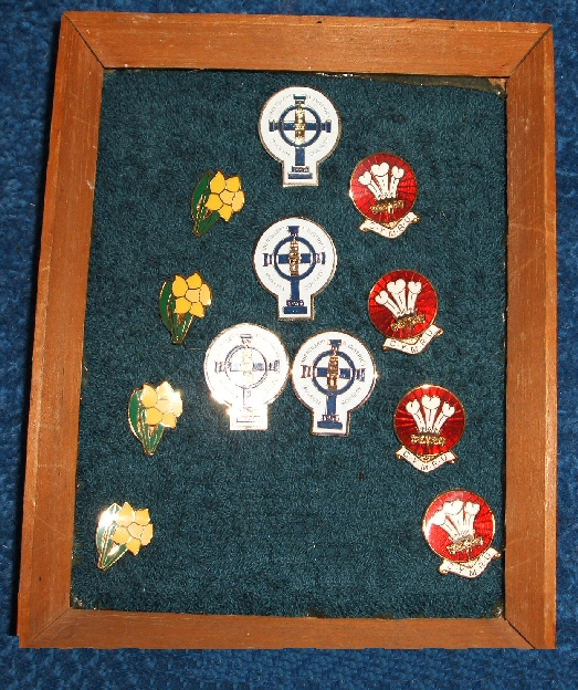 Museum Badges
