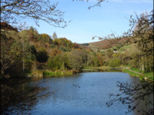 Serene photo of Cwmtillery Lakes