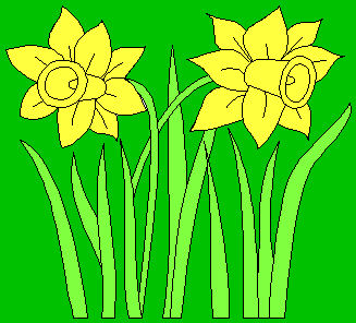 Daffodils cartoon