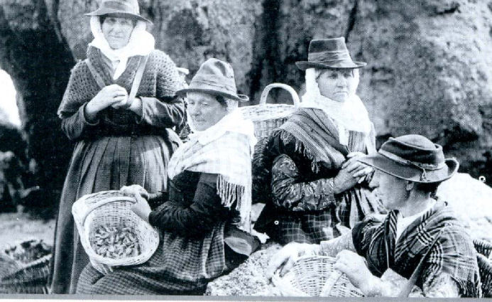 Women Scratting for cockles
