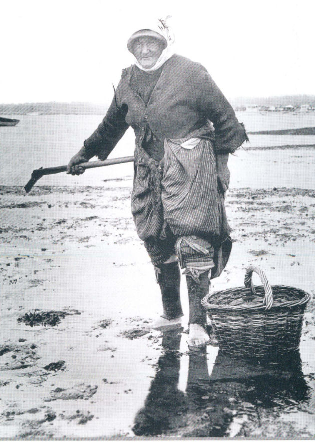 A woman shrimping on a beach